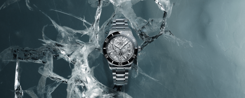 1858 Iced Sea 1858 Iced Sea