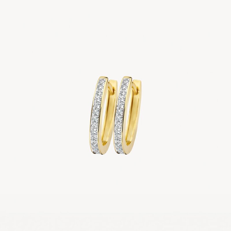 Blush oorbellen - 7234BZI - 1