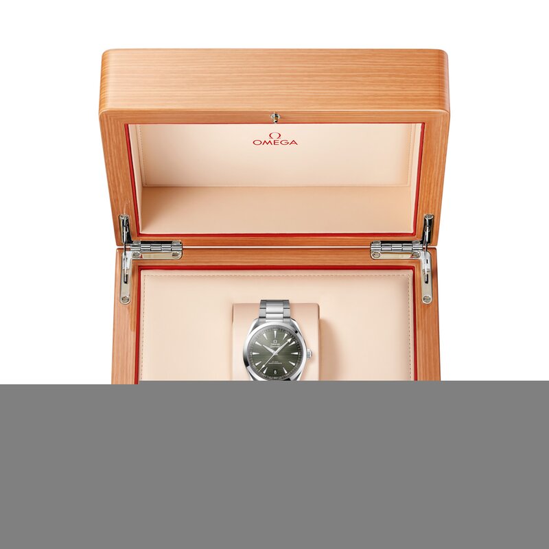 Omega Seamaster Aqua Terra 41mm - 220.10.41.21.10.001 - 5