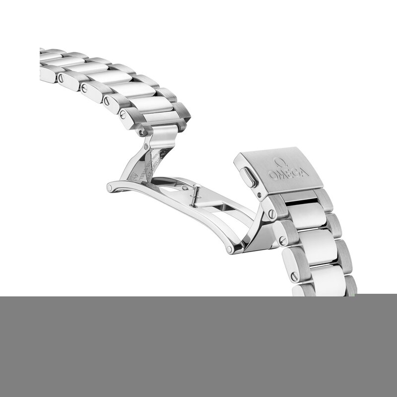 Omega Seamaster Aqua Terra 41mm - 220.10.41.21.10.001 - 4