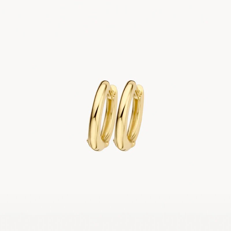 Blush oorbellen - 7217YGO - 1