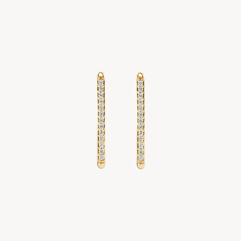 Blush oorbellen - 7343YZI - 2