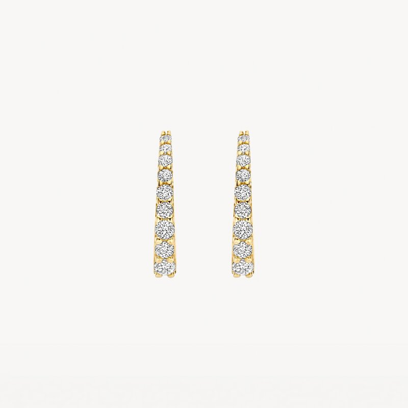 Blush oorbellen - 7342YZI - 3