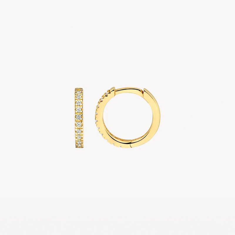 Blush oorbellen Blush oorbellen - 7307YZI - 3