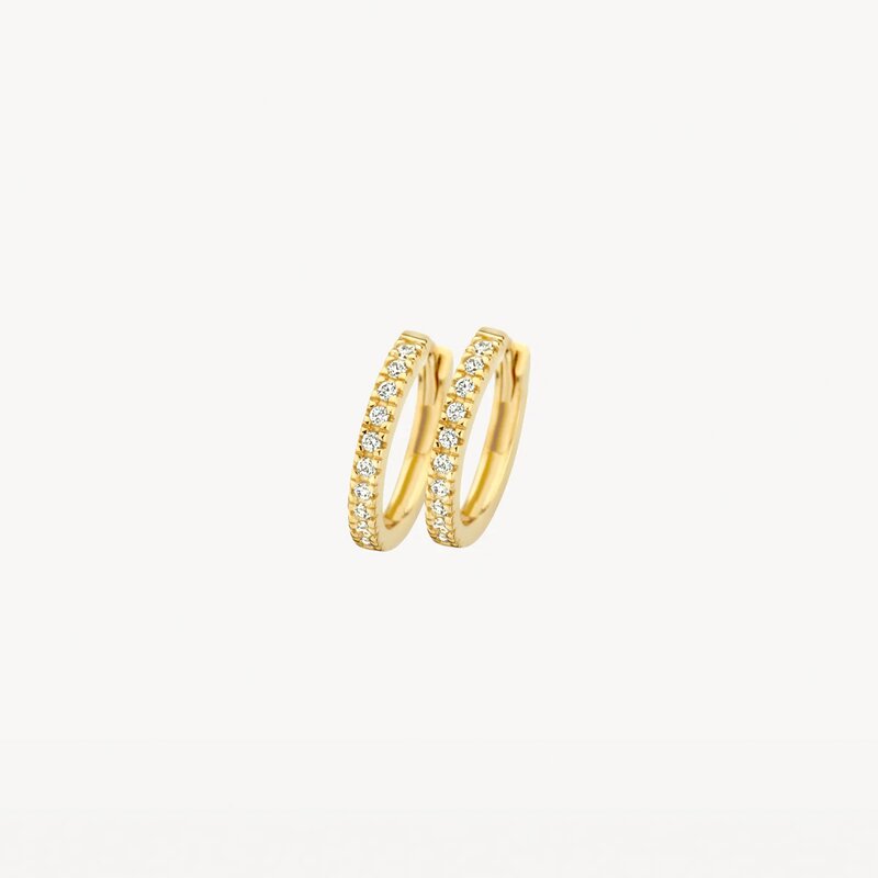 Blush oorbellen Blush oorbellen - 7307YZI - 1