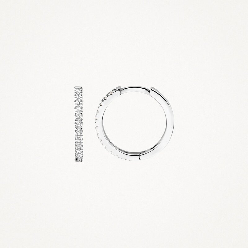 Blush oorbellen - 7309WZI - 3