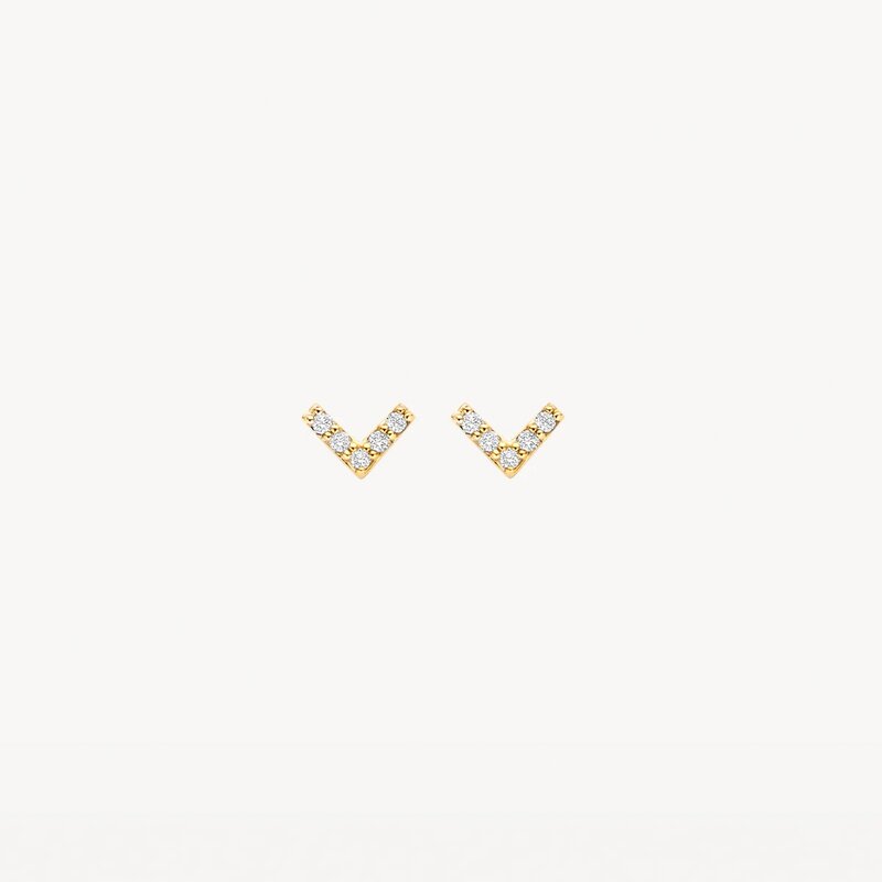 Blush oorbellen - 7374YZI - 1