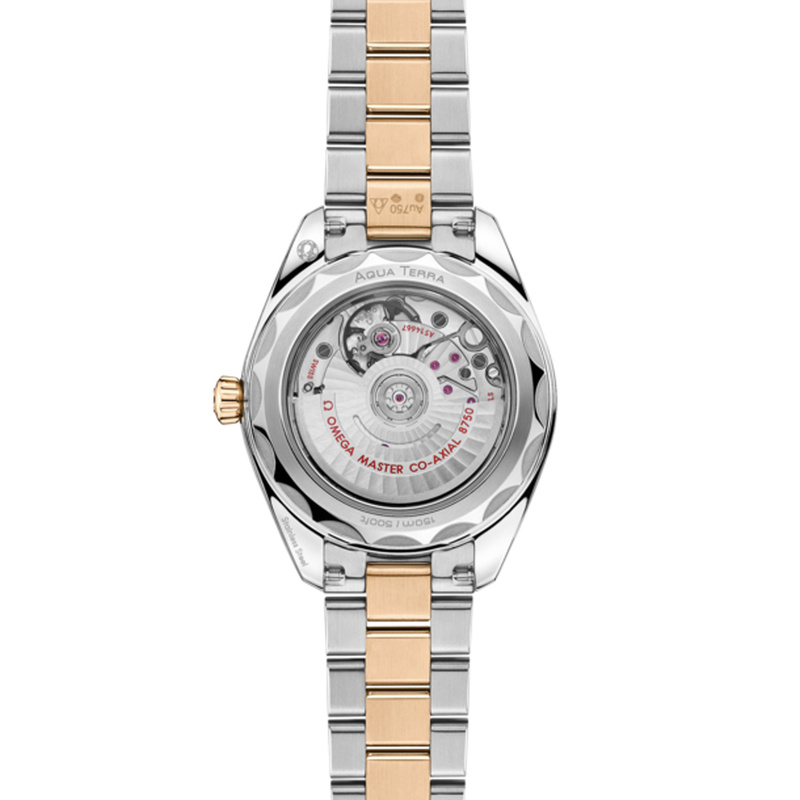 OMEGA Seamaster Aqua Terra 30mm - 220.20.30.20.02.001 - 2