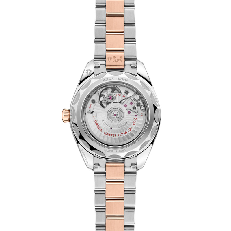 OMEGA Seamaster Aqua Terra 30mm - 220.20.30.20.63.001 - 2