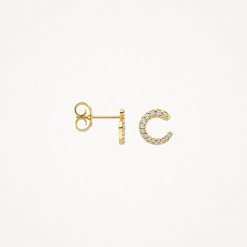 Blush oorbellen - 7378YZI - 3