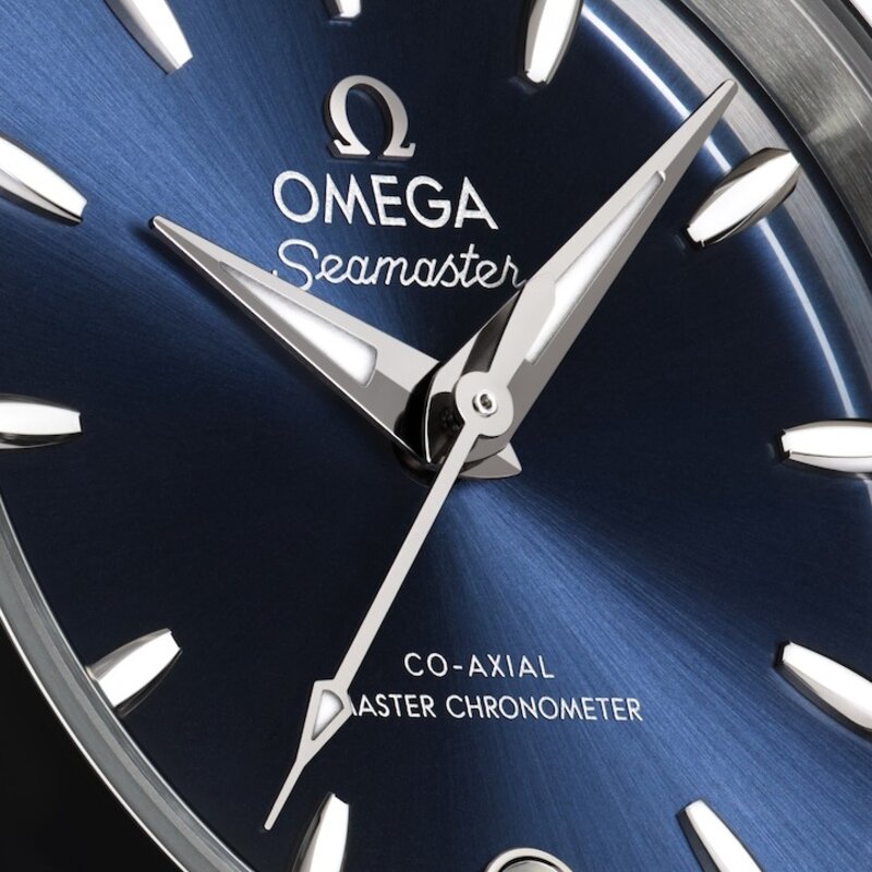 OMEGA Seamaster Aqua Terra 30mm - 220.10.30.20.03.001 - 4