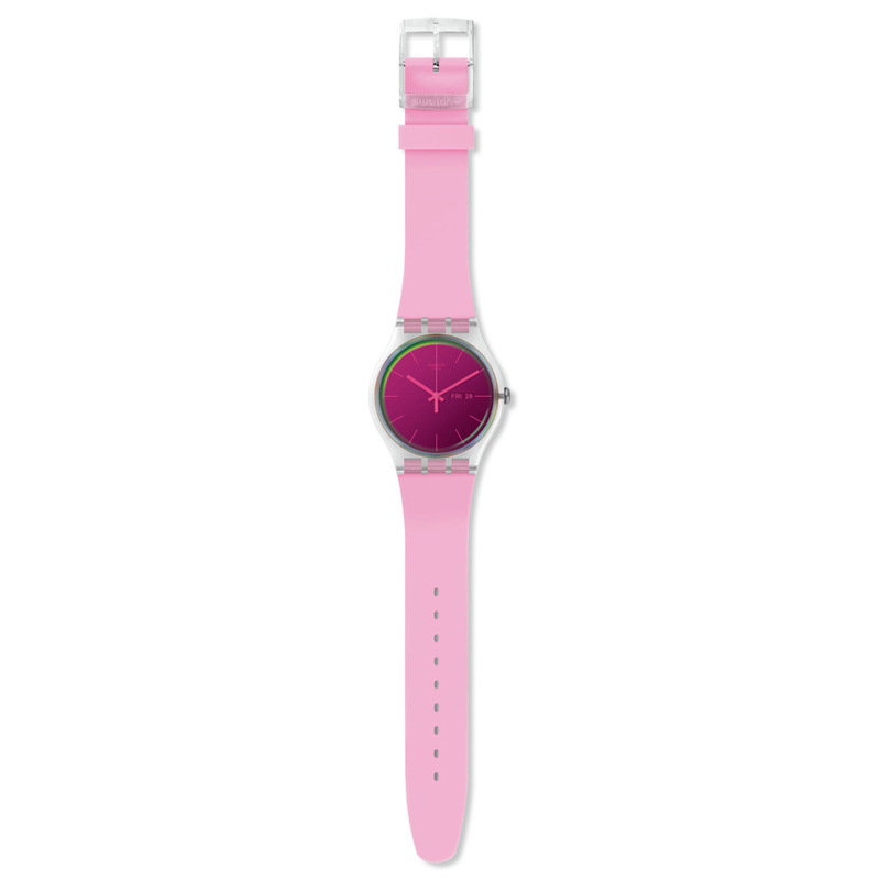 Swatch Polaros