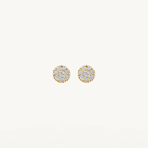 Blush Gold Jewels oorbellen