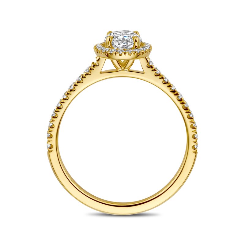 Treasured by Lien Icon verlovingsring - OV4-24-S-G/70 - 2