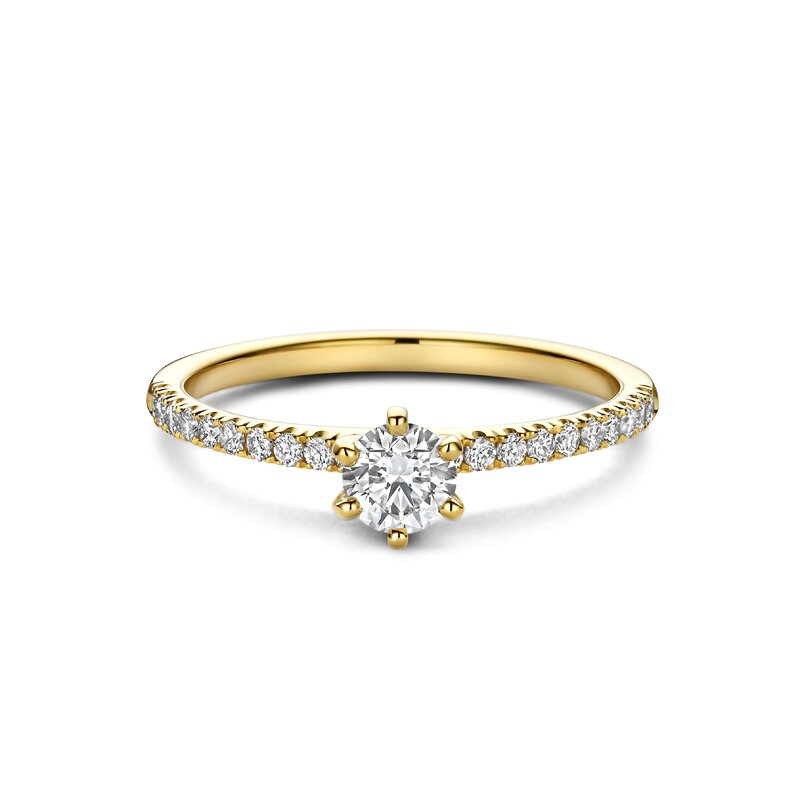 Treasured by Lien Pavé verlovingsring - BR6-23-C-G/30 - 1