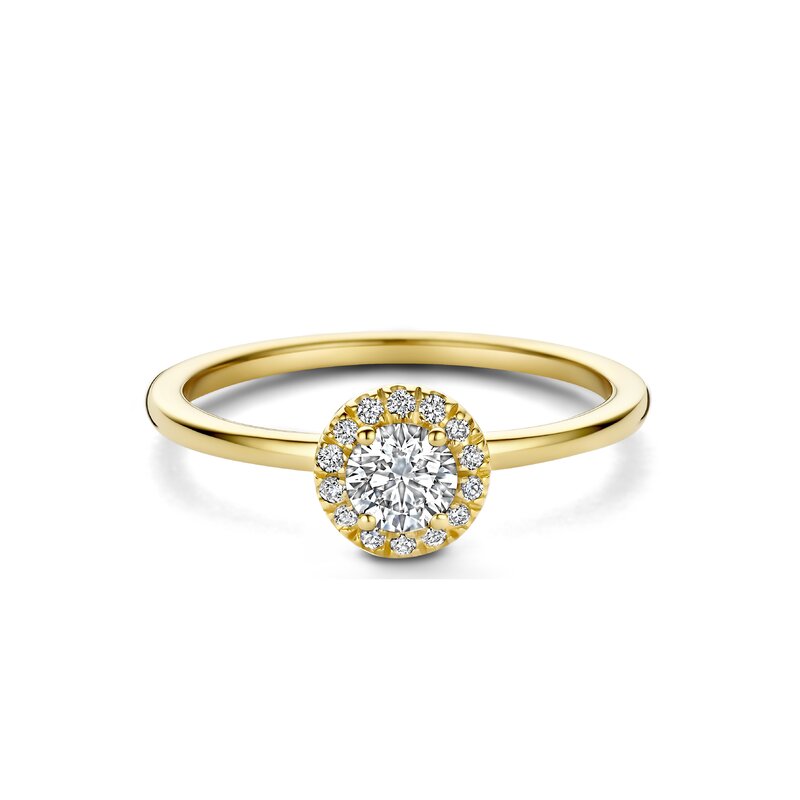 Treasured by Lien Halo verlovingsring - BR4-14-C-G/30 - 1