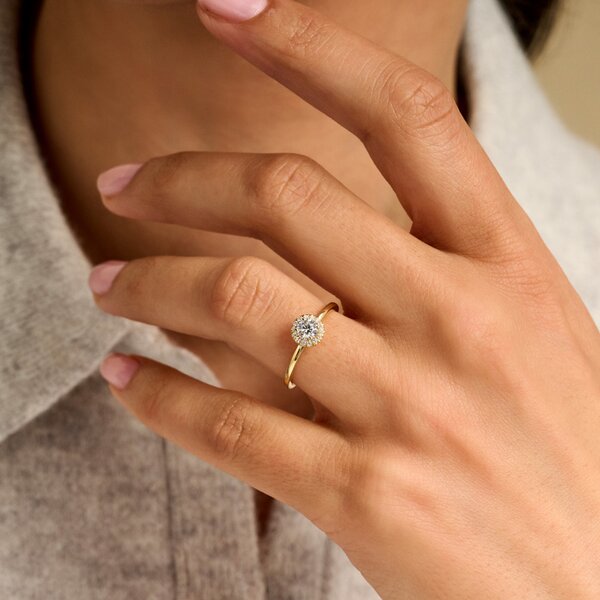 Treasured by Lien Halo verlovingsring BR4-14-C-G/30