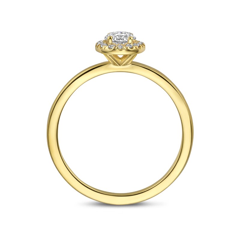 Treasured by Lien Halo verlovingsring - BR4-14-C-G/30 - 3
