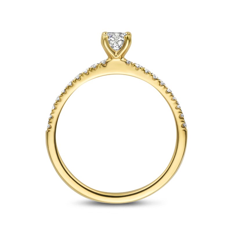 Treasured by Lien Pavé verlovingsring - BR4-23-C-G/30 - 3