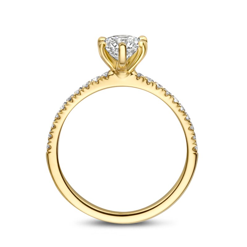 Treasured by Lien Pavé verlovingsring - BR6-23-C-G/70 - 3