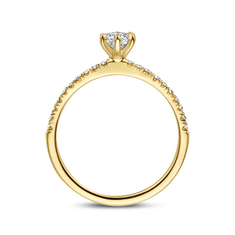Treasured by Lien Pavé verlovingsring - BR6-23-C-G/30 - 3