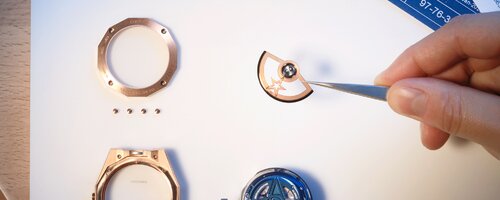 11-SAVOIR-FAIRE-2_Process_Tourbillon-Skeleton_9x16.jpg 11-SAVOIR-FAIRE-2_Process_Tourbillon-Skeleton_9x16.jpg