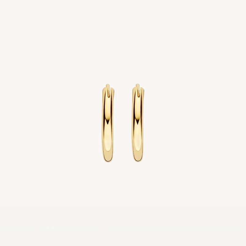 Blush Gold Jewels oorbellen Blush Gold Jewels oorbellen - 7405YGO - 2