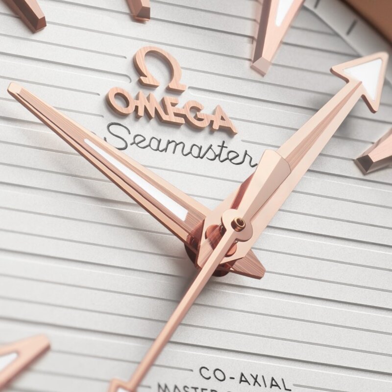 OMEGA Seamaster Aqua Terra 41mm - 220.20.41.21.02.001 - 2