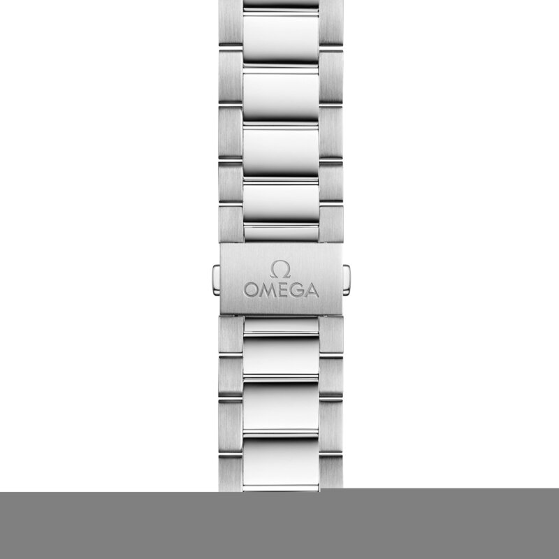 Omega Seamaster Aqua Terra 41mm - 220.10.41.21.10.001 - 3