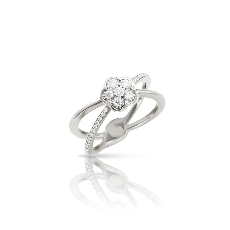 Pasquale Bruni Figlia dei fiori ring