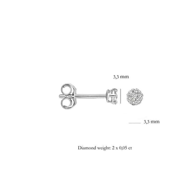 Blush oorbellen - 7603WDI - 3