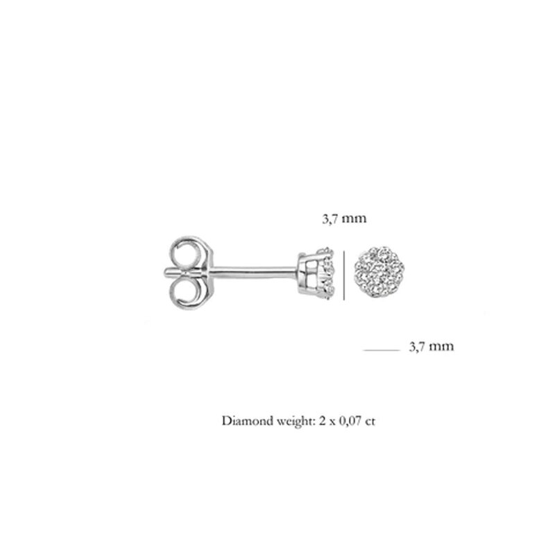 Blush oorbellen - 7604WDI - 3