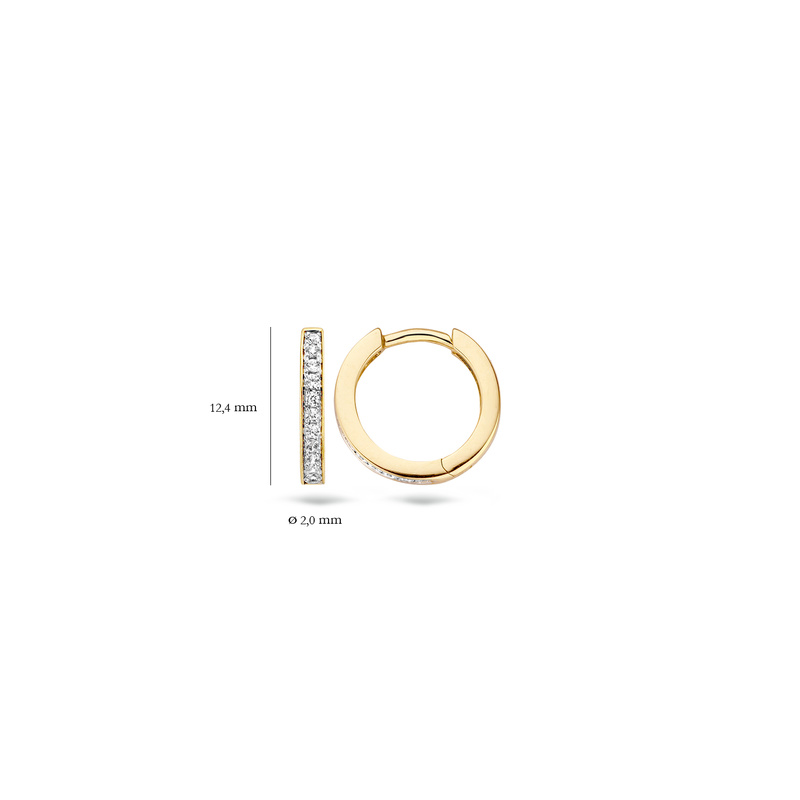 Blush oorbellen - 7163BZI - 4