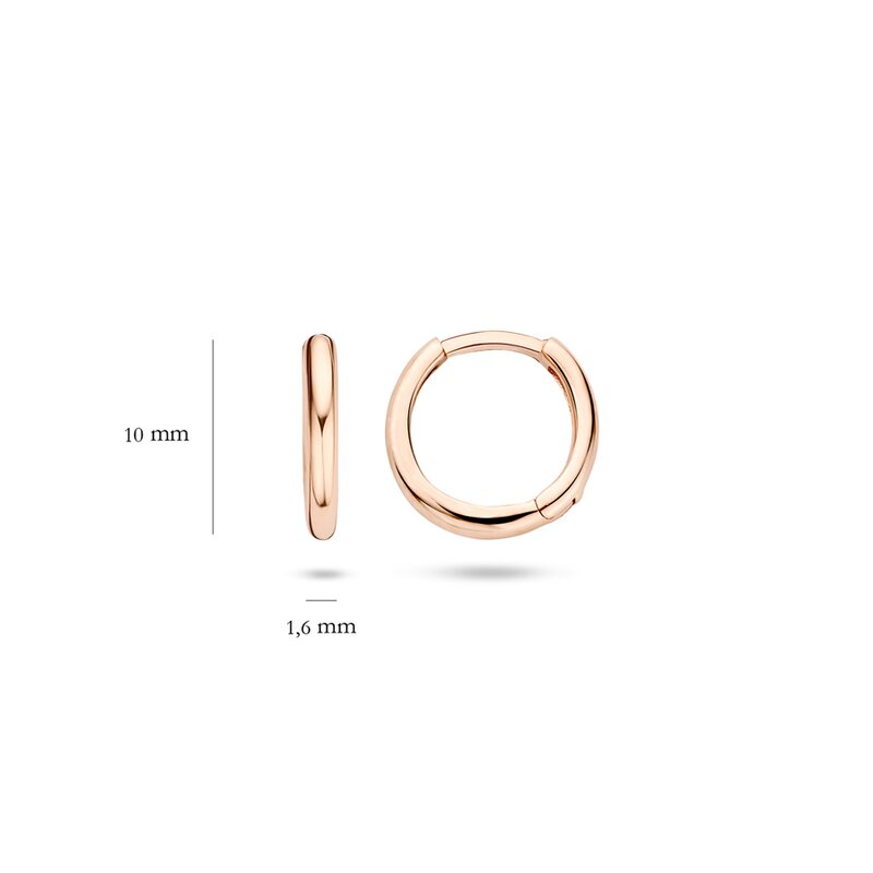 Blush oorbellen - 7232RGO - 4