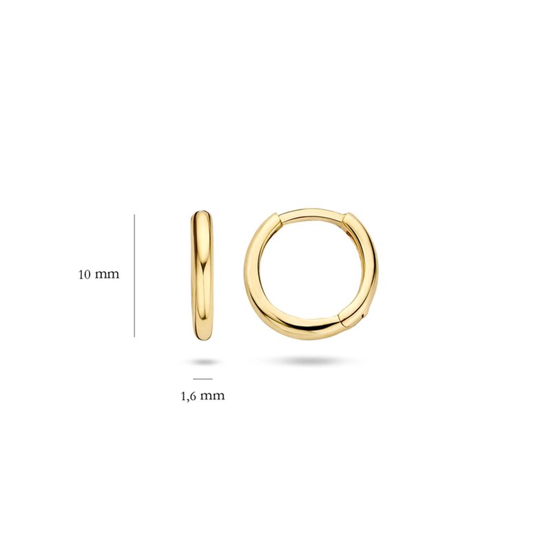 Blush oorbellen - 7232YGO - 5