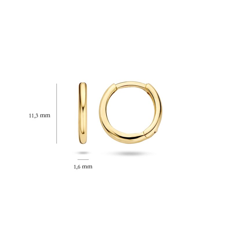 Blush oorbellen - 7233YGO - 4