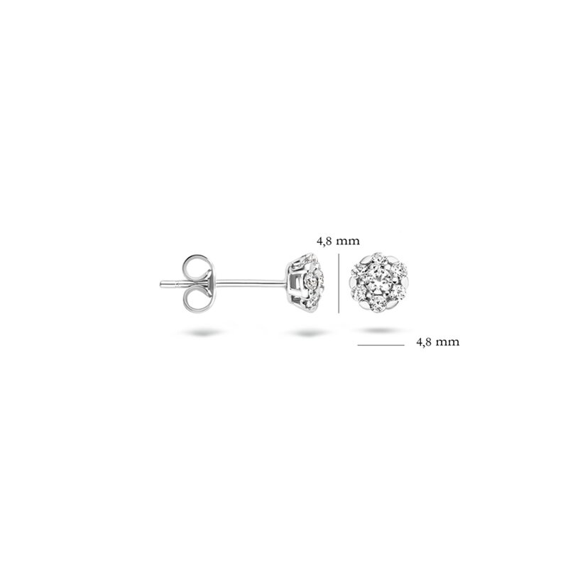 Blush oorbellen - 7241WZI - 3