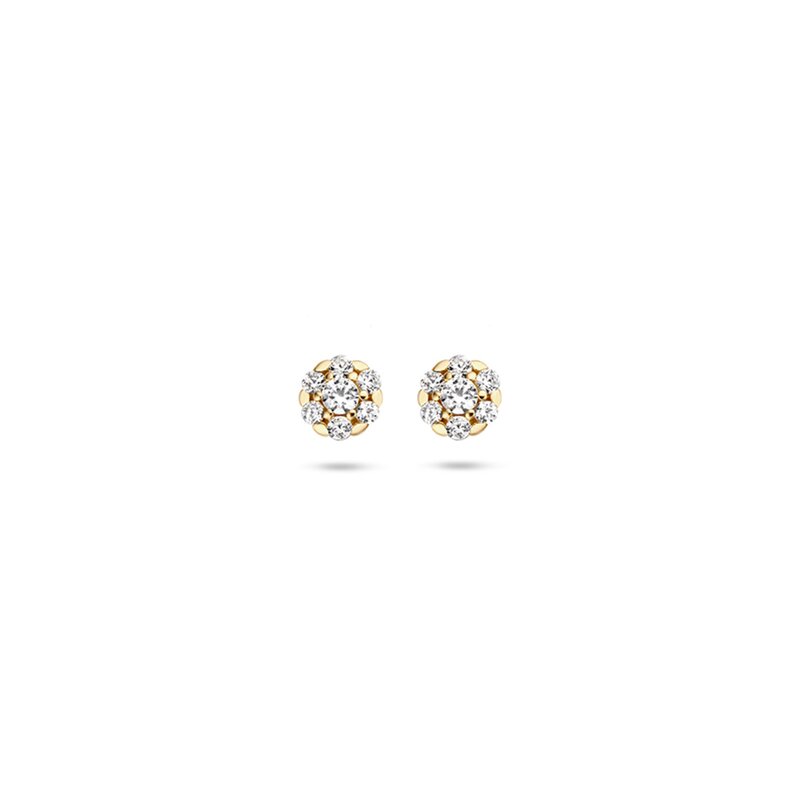 Blush oorbellen - 7241YZI - 1