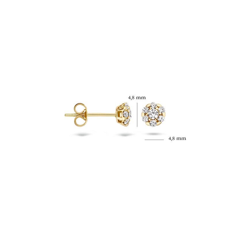 Blush oorbellen - 7241YZI - 3